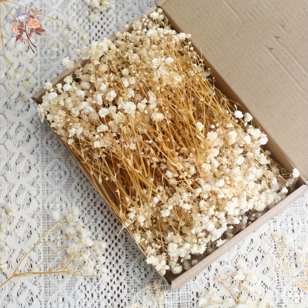 Craft Embellishment - 100 Pezzi Mini Fiori Secchi di